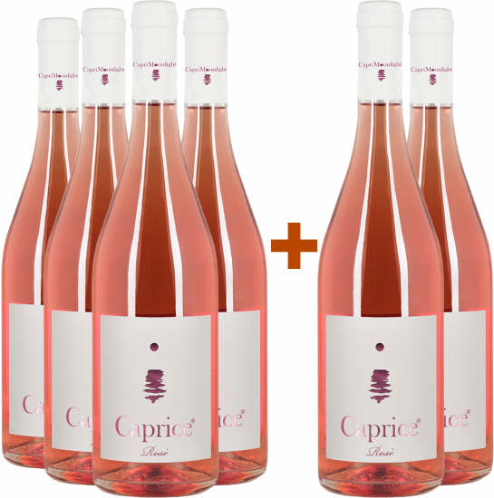 4+2 Paket Marguerite Rosè Campania IGP - Capri Moonlight