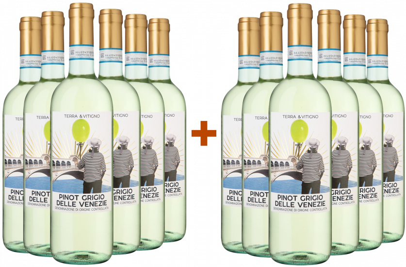 6+6 Paket Terra & Vitigno Pinot Grigio