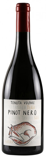 2021 Pinot Nero Trentino DOC trocken - Tenuta Volpare