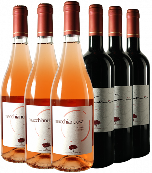 Cantina Dei Fragni Probier-Paket Bio - Cantina dei Fragni