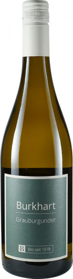 2024 Grauburgunder trocken Bio - Weingut Burkhart