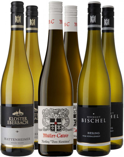 Riesling Selektion-Paket