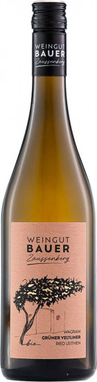 2022 Grüner Veltliner 