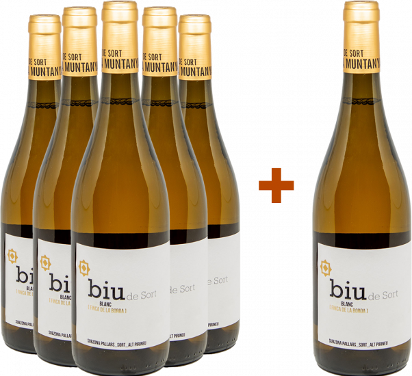 Aktionspaket 5+1 Biu Riesling Costers del Segre DO - Celler Batlliu de Sort