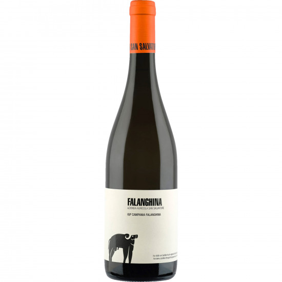 2024 San Salvatore Falanghina Bianco trocken - Azienda Agricole San Salvatore