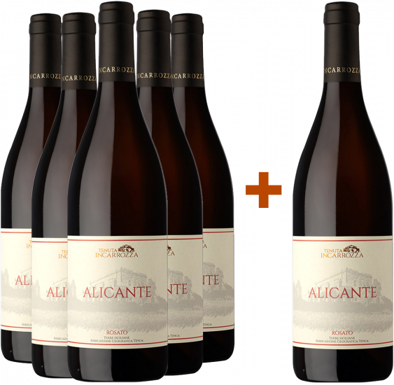 5+1 Paket Alicante Rosato Terre Siciliane IGP - Tenuta Incarrozza