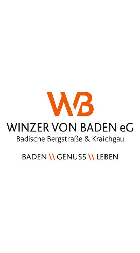 2019 Spätburgunder Lützelsachsener Rittersberg Spätlese trocken - Winzer von Baden