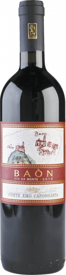 2019 Baon Rosso Veneto IGT - Travino Special Valsugana