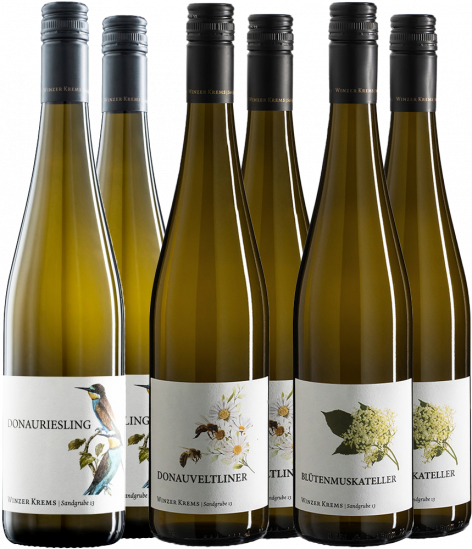 Kleines PIWI Paket - Winzer Krems