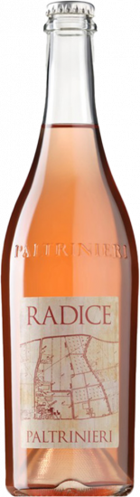 2023 Radice Lambrusco di Sorbara DOC - 