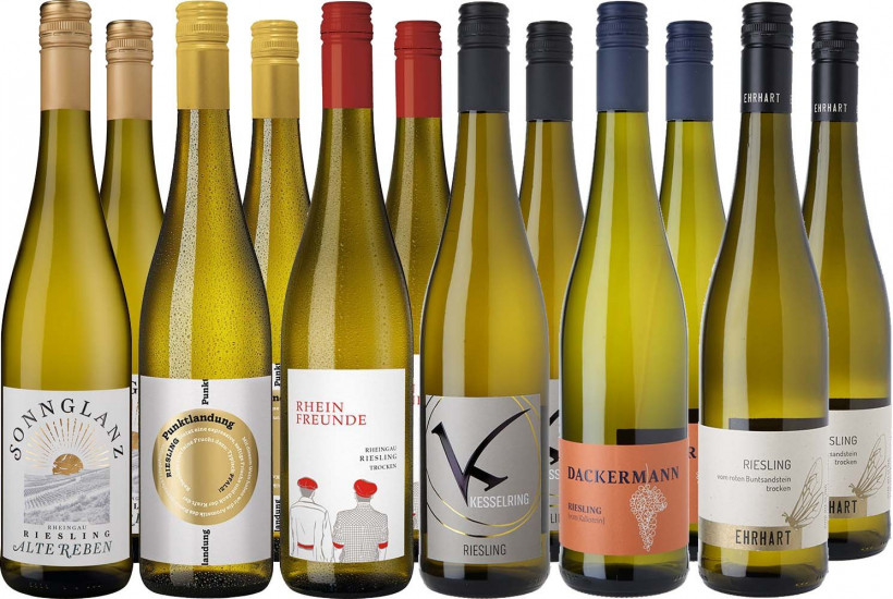 Großes Riesling Entdecker-Paket 