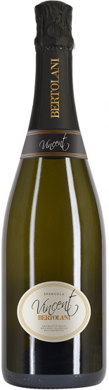 2020 Vincent brut nature - Azienda Vinicola Bertolani Alfredo