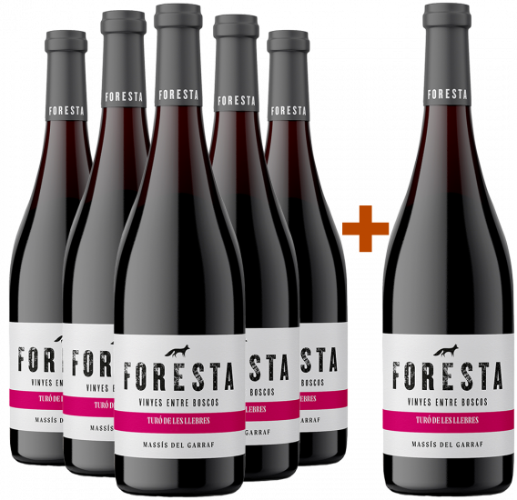Aktionspaket 5+1 2022 Foresta Turó de les Llebres BIO DO Penedès Bio - Vins de Foresta