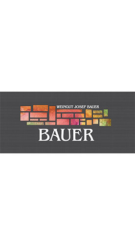 2025 Grüner Veltliner FEUERSBRUNN trocken Bio - Weingut Josef Bauer