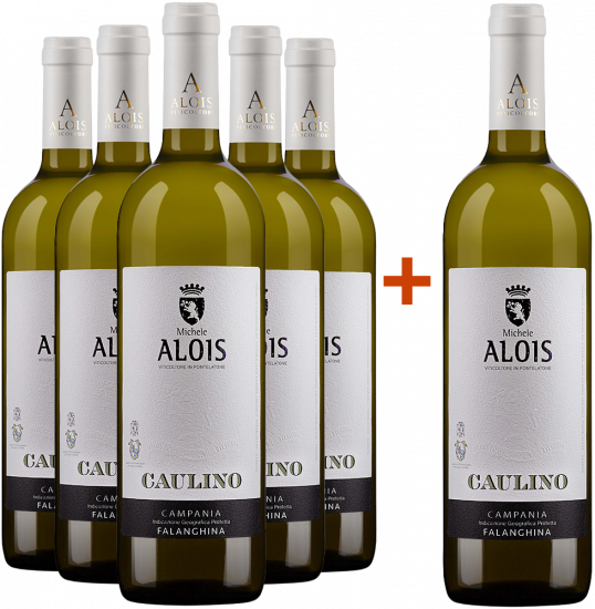 5+1 Paket Caulino Campania IGP - Alois