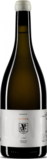 Bianco Pecorino Marche IGP trocken Bio - Viconari