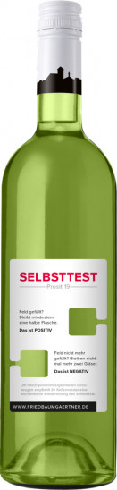 2020 SELBSTTEST Riesling trocken - Weingut Fried Baumgärtner