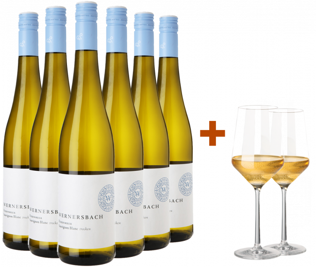 Rebenmeer Sauvignon Blanc-Paket mit gratis Gläser
