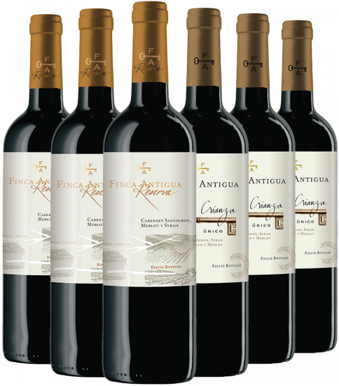 Finca Antigua Premium-Rotwein-Paket La Mancha DO - Finca Antigua