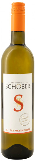 2024 Gelber Muskateller trocken - Weingut Ing. Richard Schober