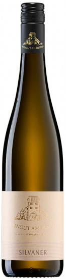 2024 Silvaner trocken - Weingut am Ölspiel