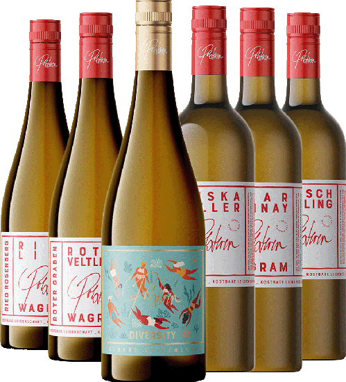 Wein Werk Polsterer Kennenlern-Paket trocken - Wein Werk Polsterer