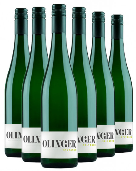 Silvaner Paket - Gebrüder Müller-Familie Olinger