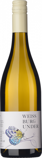 2024 Weissburgunder halbtrocken Bio - Weingut Volker Klein