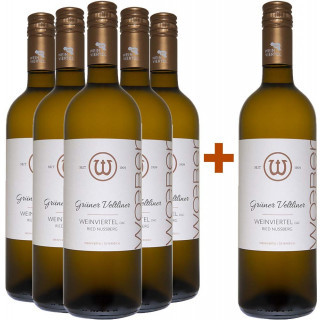 5+1 Grüner Veltliner Ried Nussberg Waitzendorf Weinviertel DAC Paket - Weingut Wöber