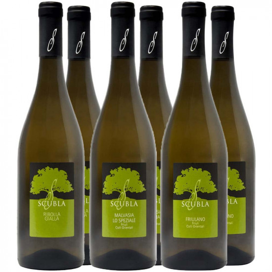 Roberto Scubla Kennenlern-Paket - Roberto Scubla