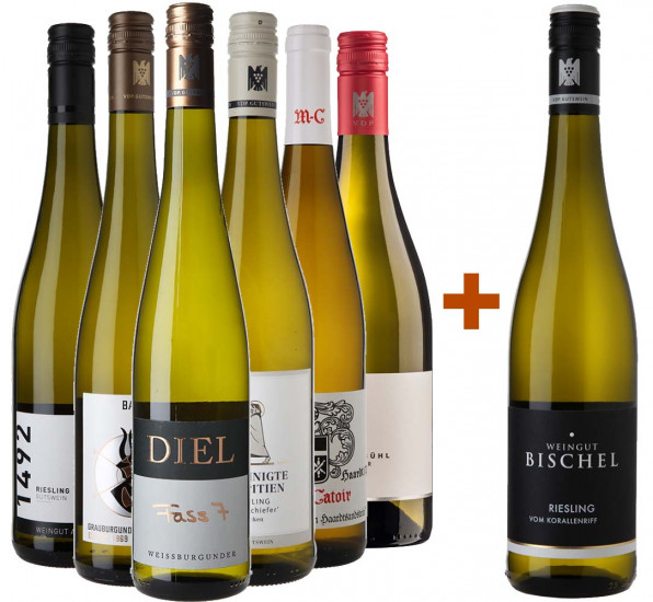 VDP.Premium-Paket + Gratisflasche Riesling vom Korallenriff VDP.Gutswein
