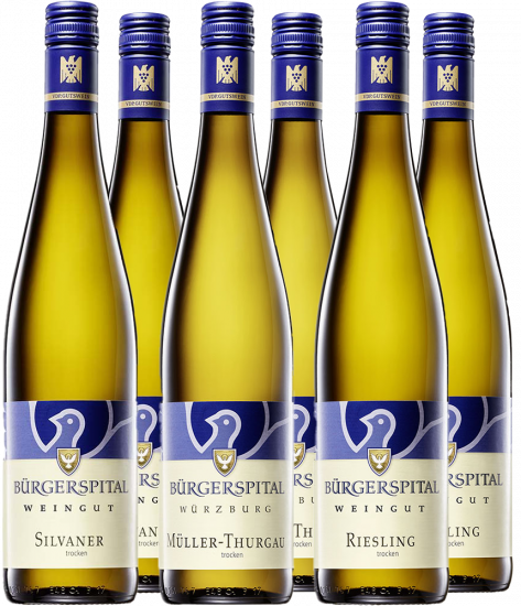 Weißwein-Probierpaket trocken - Stiftung Bürgerspital zum Hl. Geist Weingut