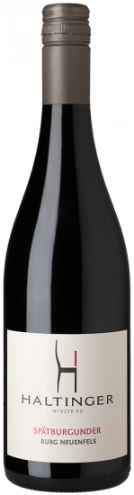 2018 Burg Neuenfels Spätburgunder trocken - Haltinger Winzer eG