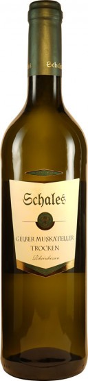 Aromatisches Muskateller-Paket - Weingut Schales