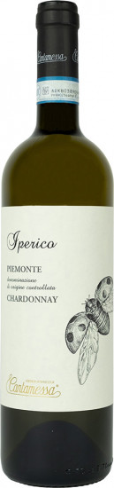 2024 Iperico - Piemonte DOC trocken Bio - Cantamessa