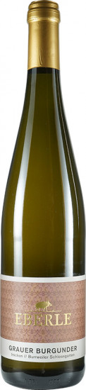 2024 Grauer Burgunder Burrweiler Schlossgarten trocken - Weingut Hermann Eberle