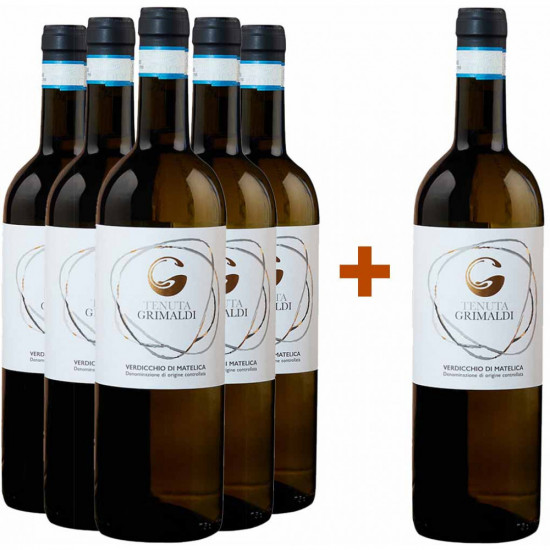 5+1 Paket Verdicchio di Matelica DOC - Tenuta Grimaldi