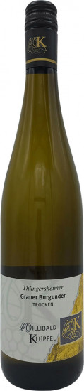 2024 Thüngersheimer Grauer Burgunder Kabinett trocken - Weingut Willibald Klüpfel