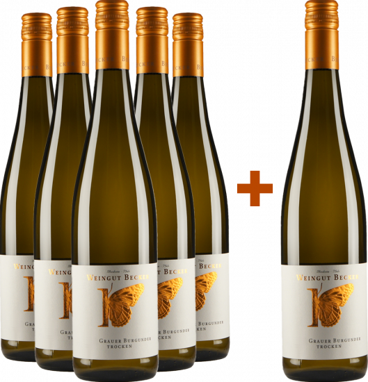 5+1 Paket Grauer Burgunder trocken BIO Bio - Weingut Becker-Heißbühlerhof