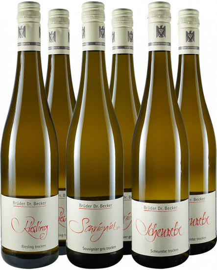 Brüder Dr. Becker Kennenlern-Paket Bio - Weingut Brüder Dr. Becker