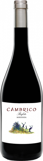 2021 Cámbrico Miranda Sierra de Salamanca DOP trocken - Viñas del Cambrico