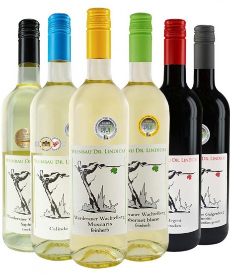 PIWI - Weinbau Dr. Lindicke