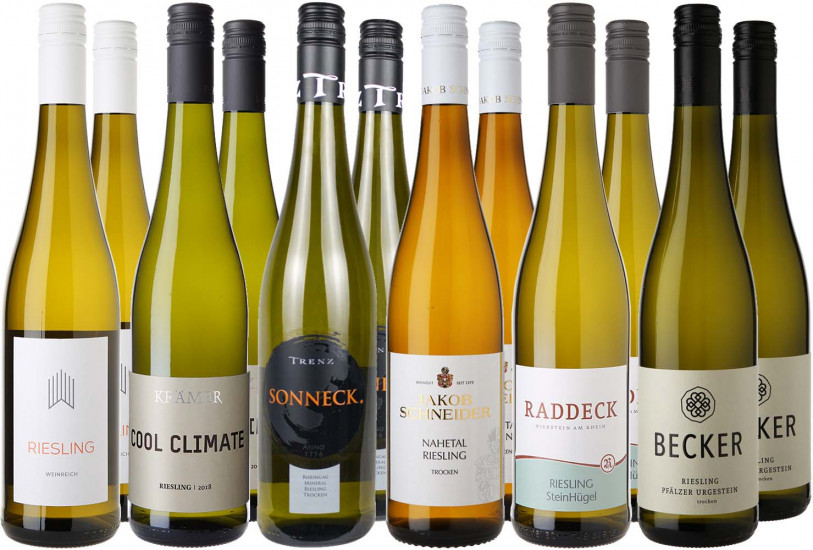 Großes Riesling Entdecker-Paket 