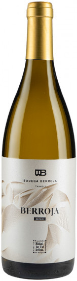 2022 Berroja Bizkaiko Txakolina DO trocken - Bodega Berroja Txakoli