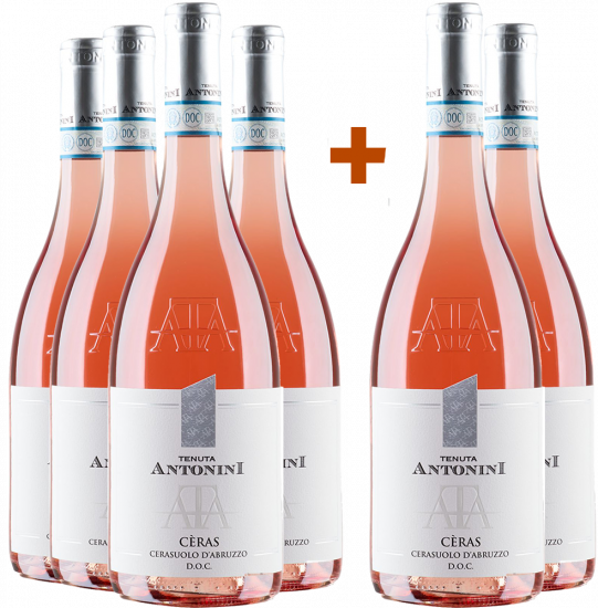 4+2 Paket Ceras Cerasuolo d'Abruzzo DOC - Tenuta Antonini Alessio