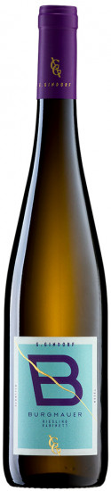 2024 Schweicher Burgmauer Riesling Kabinett feinherb - Weingut Günter Gindorf