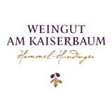 2012 Goldberg Riesling trocken - Weingut am Kaiserbaum
