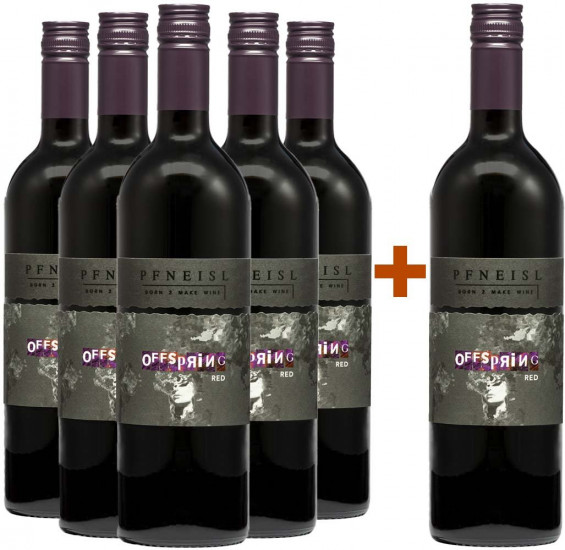 5+1 Paket 2021 Offspring Red trocken - Weingut Pfneisl
