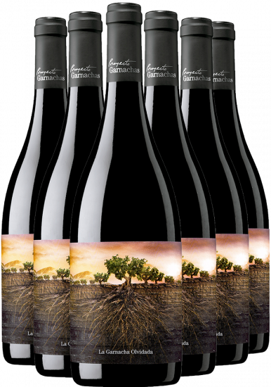  - Proyecto Garnachas