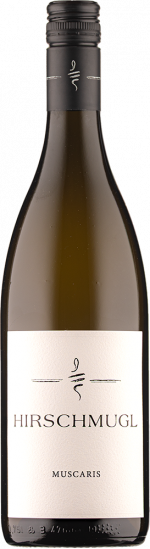 2024 Muscaris trocken Bio - Hirschmugl - Domaene am Seggauberg